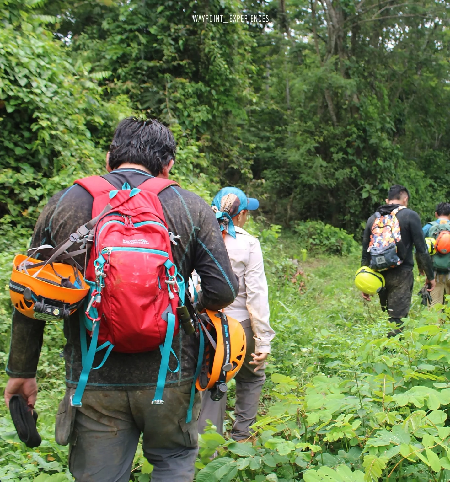 Equipo de exploradores avanzando por una ruta de selva